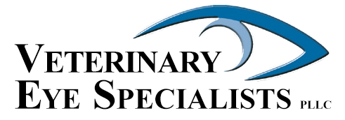 Veterinary Eye